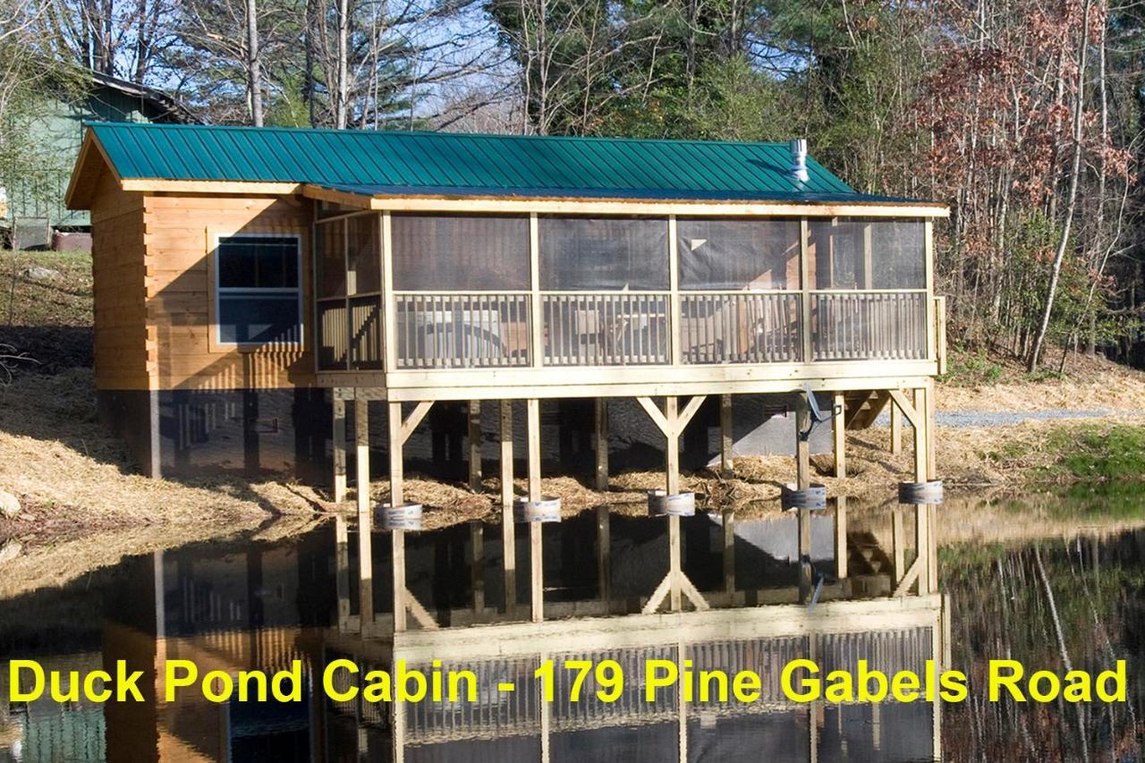 Вілла Pine Gables Cabins Лейк-Луре Екстер'єр фото